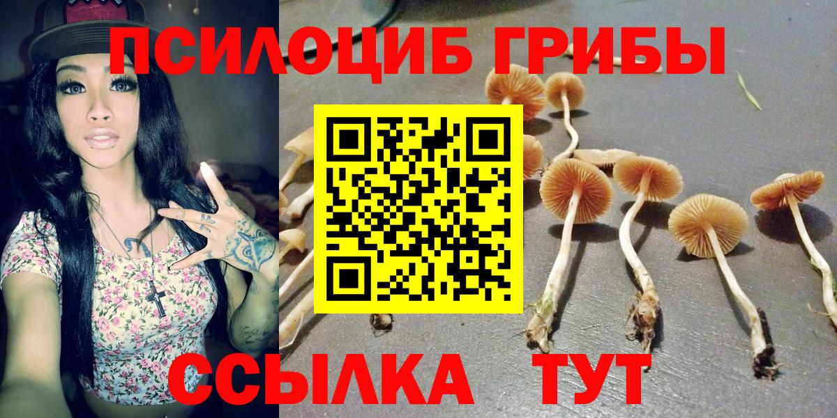 Псилоцибиновые грибы прущие грибы Армавир